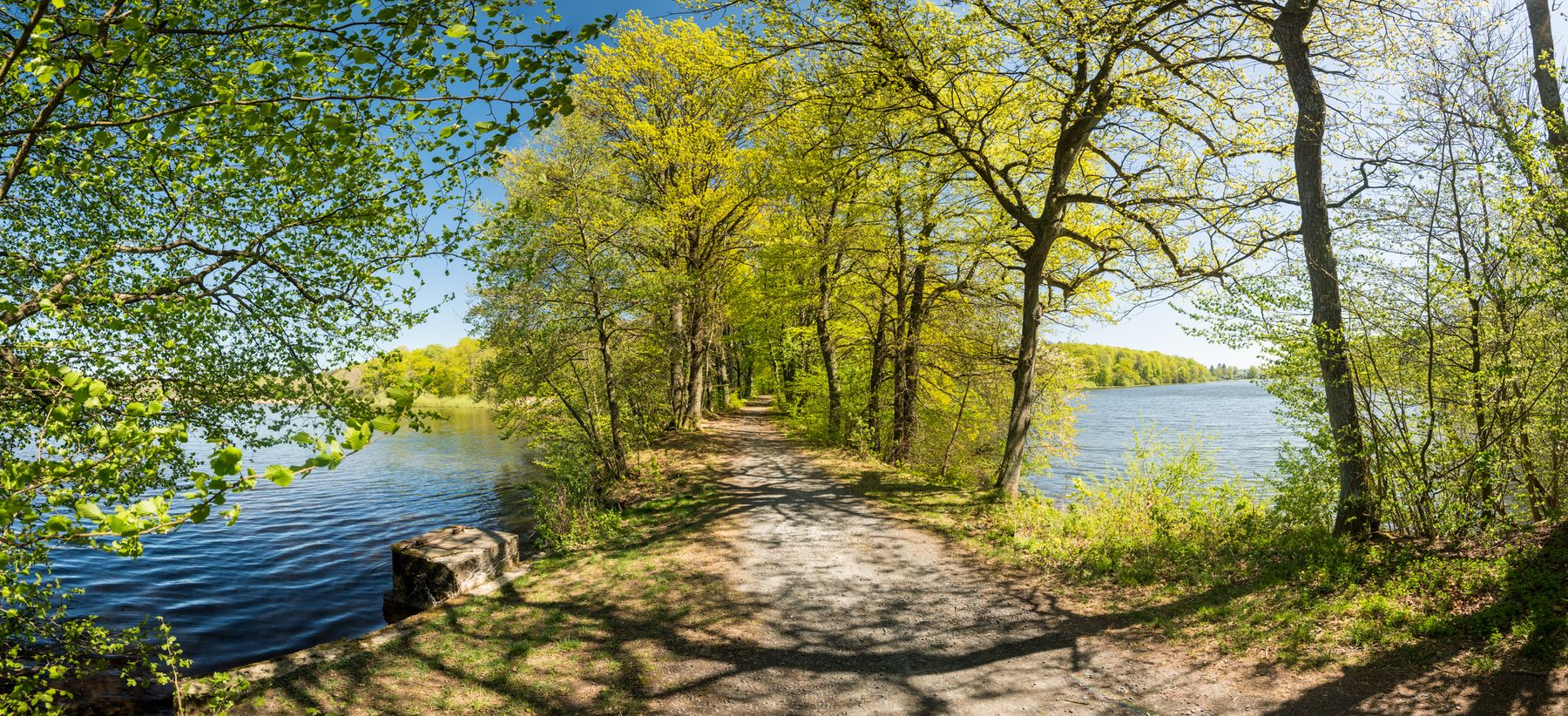 Ein von Bäumen gesäumter Feldweg verläuft zwischen zwei ruhigen Seen unter einem strahlend blauen Himmel. Das Sonnenlicht bricht durch das grüne Laub und wirft schillernde Schatten auf den Weg.